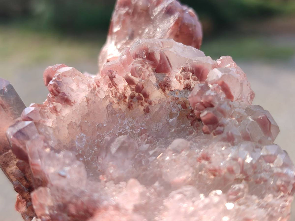 Natural Hematoid Quartz Crystals x 6 From Zimbabwe - Toprock Gemstones and Minerals 