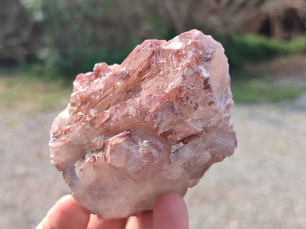 Natural Hematoid Quartz Crystals x 6 From Zimbabwe - Toprock Gemstones and Minerals 