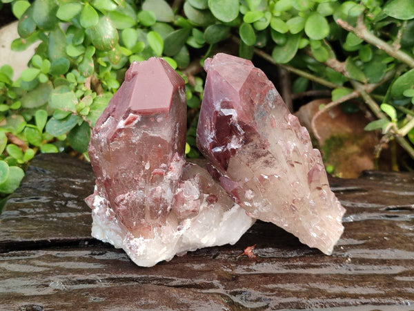 Natural Hematoid Quartz Crystals x 6 From Zimbabwe