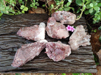 Natural Hematoid Quartz Crystals x 6 From Zimbabwe