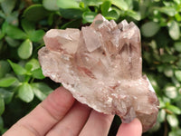 Natural Hematoid Quartz Crystals x 6 From Zimbabwe