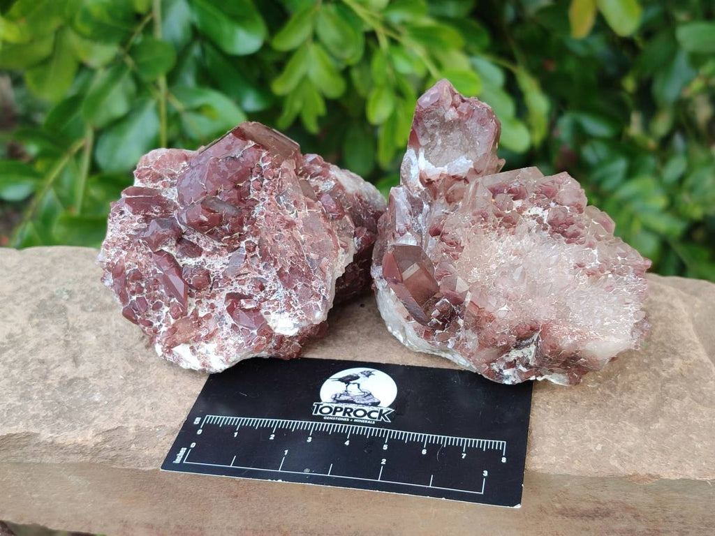 Natural Hematoid Quartz Crystals x 6 From Zimbabwe - Toprock Gemstones and Minerals 