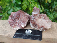 Natural Hematoid Quartz Crystals x 6 From Zimbabwe
