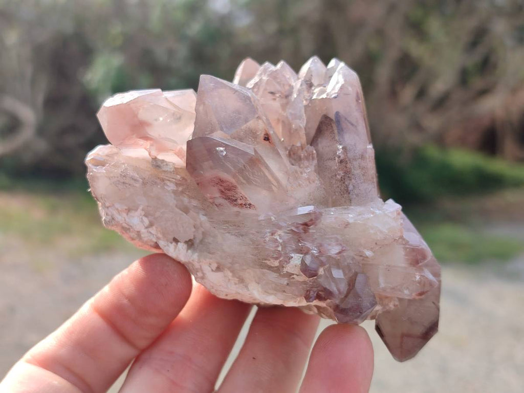 Natural Hematoid Quartz Crystals x 6 From Zimbabwe - Toprock Gemstones and Minerals 