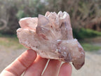 Natural Hematoid Quartz Crystals x 6 From Zimbabwe - Toprock Gemstones and Minerals 