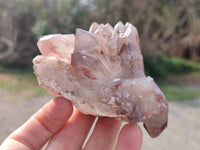 Natural Hematoid Quartz Crystals x 6 From Zimbabwe