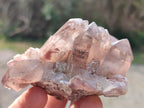 Natural Hematoid Quartz Crystals x 6 From Zimbabwe - Toprock Gemstones and Minerals 