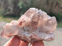 Natural Hematoid Quartz Crystals x 6 From Zimbabwe
