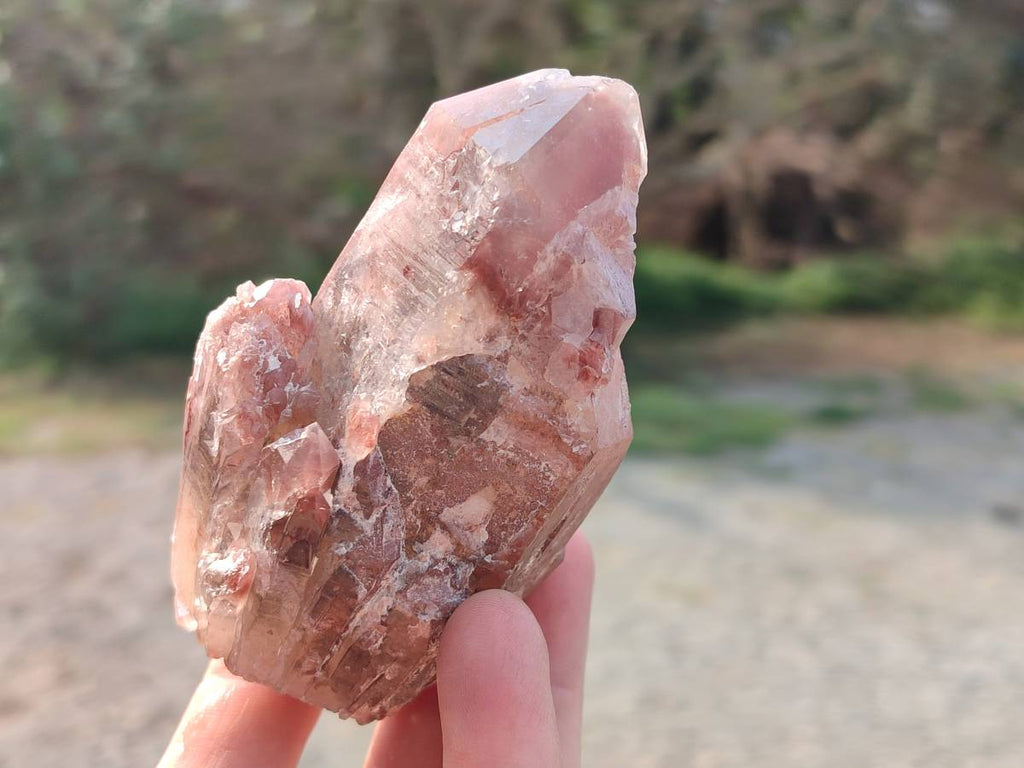 Natural Hematoid Quartz Crystals x 6 From Zimbabwe - Toprock Gemstones and Minerals 