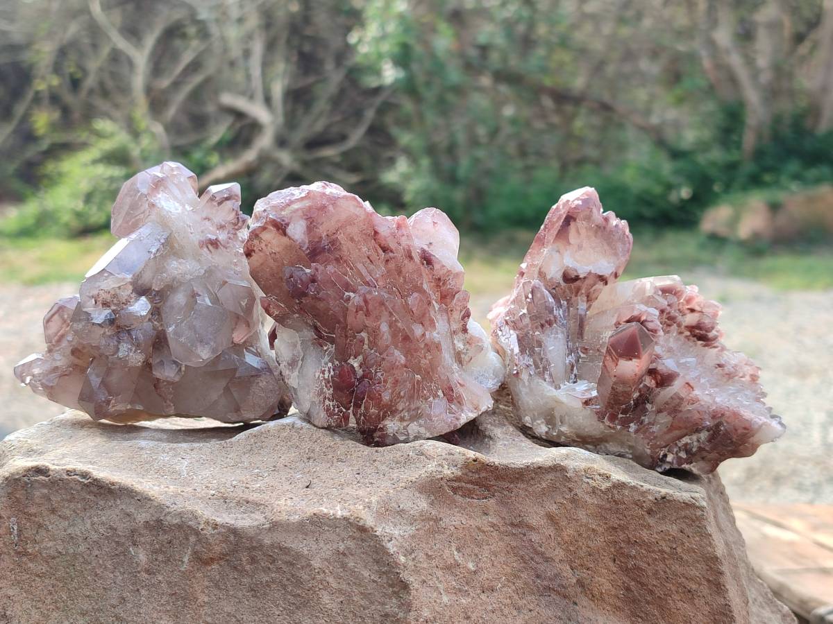 Natural Hematoid Quartz Crystals x 6 From Zimbabwe - Toprock Gemstones and Minerals 