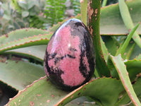 Polished Rhodonite Eggs x 6 From Madagascar