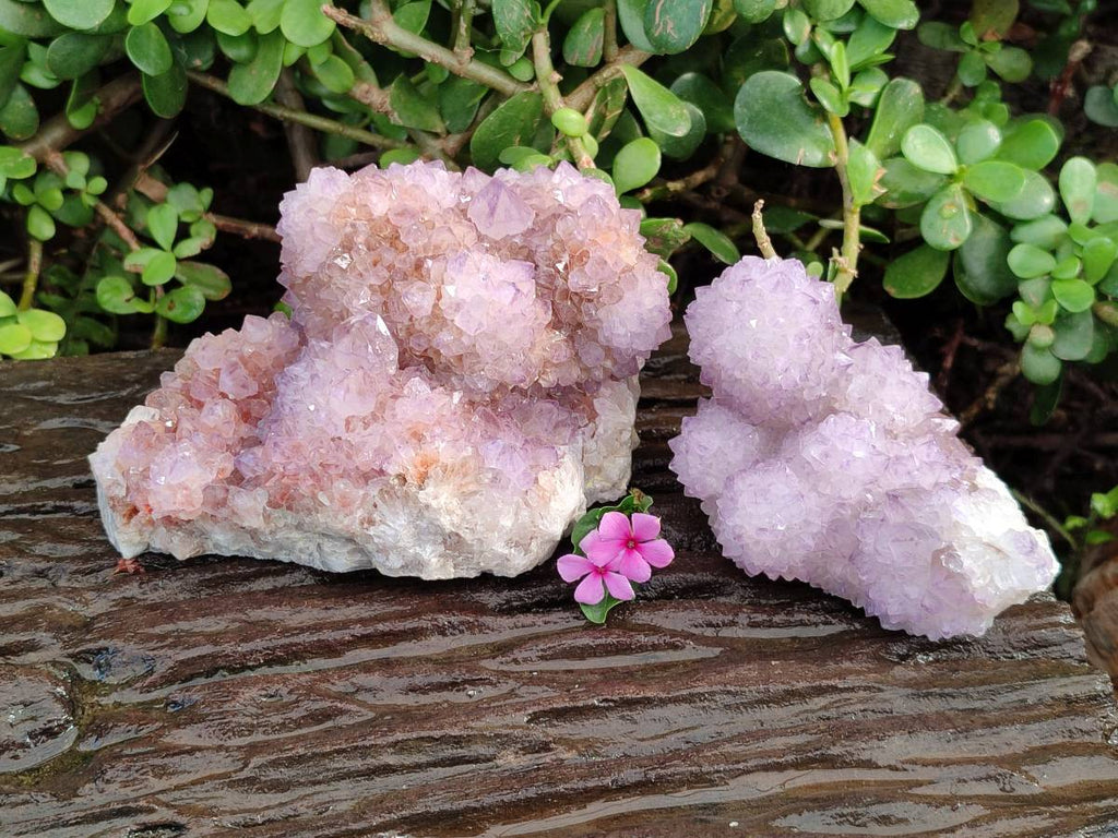 Natural Amethyst Spirit Quartz Clusters x 2 From South Africa - Toprock Gemstones and Minerals 