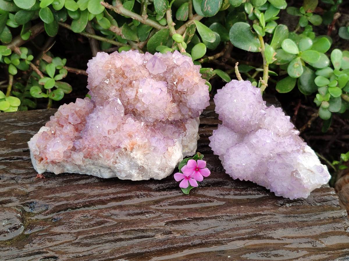 Natural Amethyst Spirit Quartz Clusters x 2 From South Africa - Toprock Gemstones and Minerals 