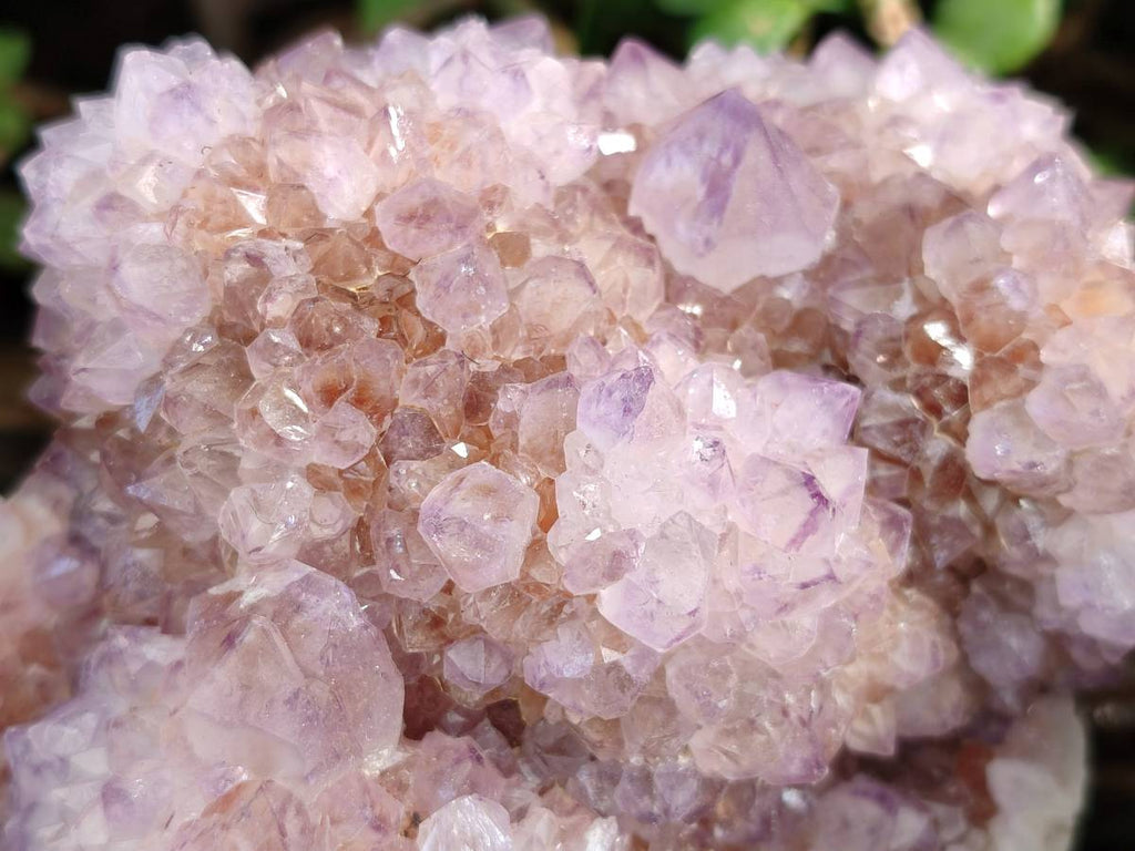 Natural Amethyst Spirit Quartz Clusters x 2 From South Africa - Toprock Gemstones and Minerals 
