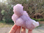 Natural Amethyst Spirit Quartz Clusters x 2 From South Africa - Toprock Gemstones and Minerals 