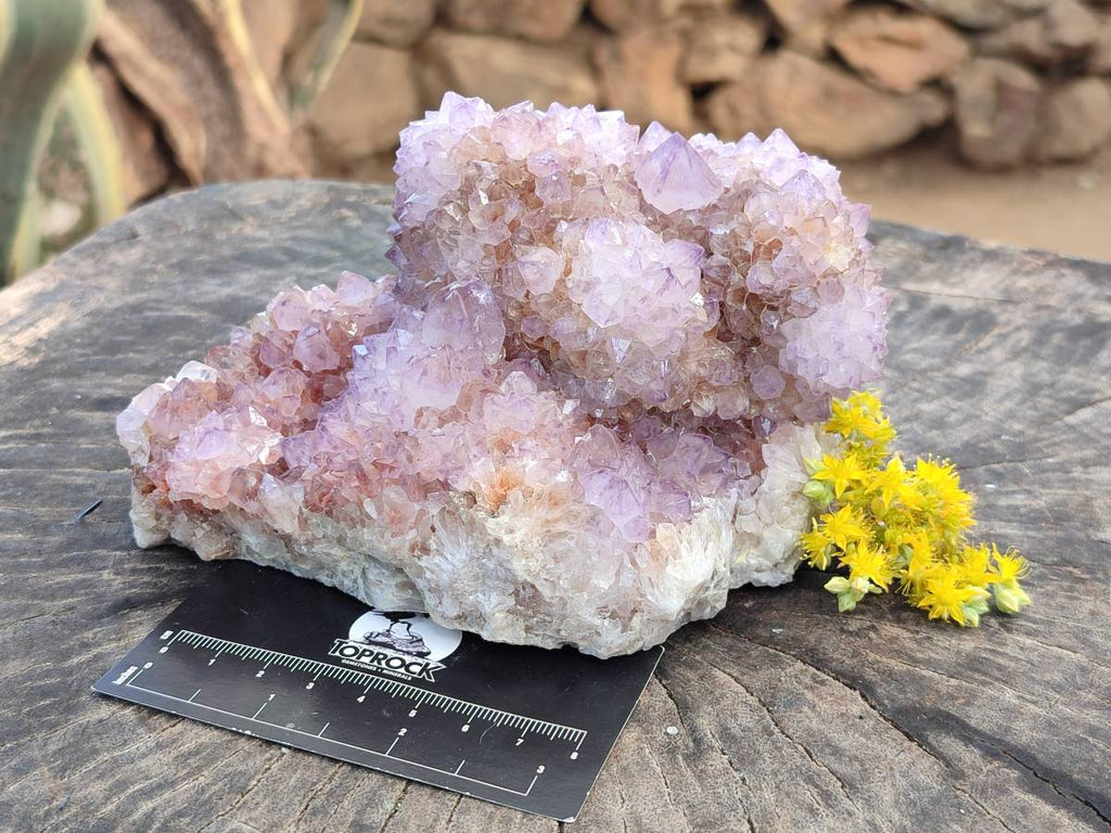 Natural Amethyst Spirit Quartz Clusters x 2 From South Africa - Toprock Gemstones and Minerals 