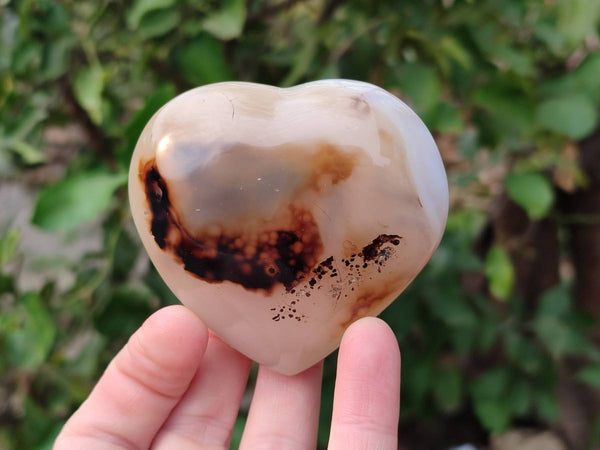 Polished Agate Hearts x 6 From Madagascar