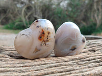 Polished Agate Hearts x 6 From Madagascar