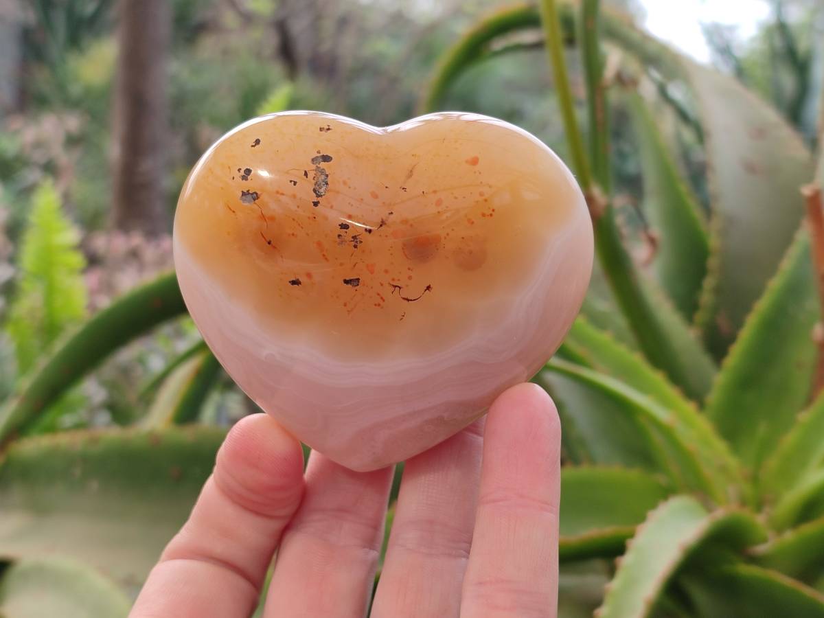 Polished Agate Hearts x 6 From Madagascar - Toprock Gemstones and Minerals 