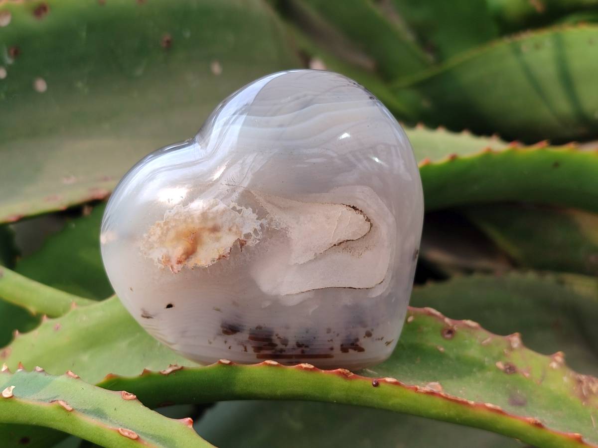Polished Agate Hearts x 6 From Madagascar - Toprock Gemstones and Minerals 