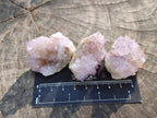 Natural Amethyst Spirit Quartz Crystals x 81 From South Africa - Toprock Gemstones and Minerals 