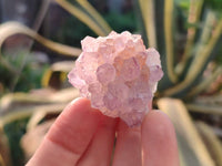 Natural Amethyst Spirit Quartz Crystals x 81 From South Africa