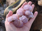 Natural Amethyst Spirit Quartz Crystals x 81 From South Africa - Toprock Gemstones and Minerals 