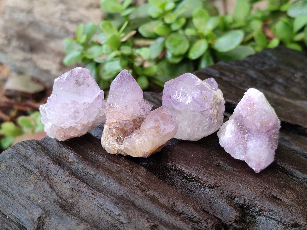 Natural Amethyst Spirit Quartz Crystals x 81 From South Africa - Toprock Gemstones and Minerals 