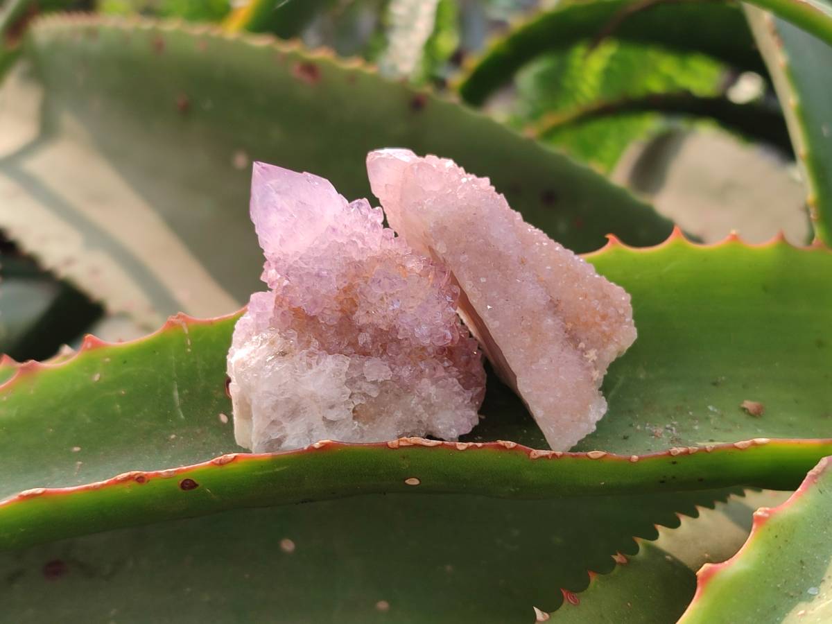 Natural Amethyst Spirit Quartz Crystals x 81 From South Africa - Toprock Gemstones and Minerals 