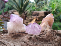 Natural Amethyst Spirit Quartz Crystals x 81 From South Africa