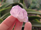 Natural Amethyst Spirit Quartz Crystals x 81 From South Africa - Toprock Gemstones and Minerals 
