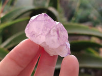 Natural Amethyst Spirit Quartz Crystals x 81 From South Africa