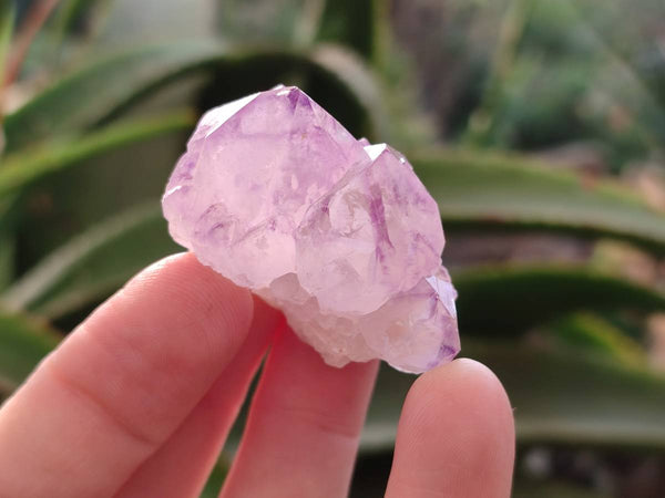 Natural Amethyst Spirit Quartz Crystals x 81 From South Africa