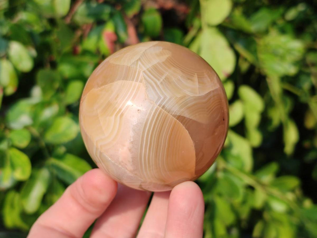 Polished Banded Agate Spheres x 6 From Madagascar - Toprock Gemstones and Minerals 