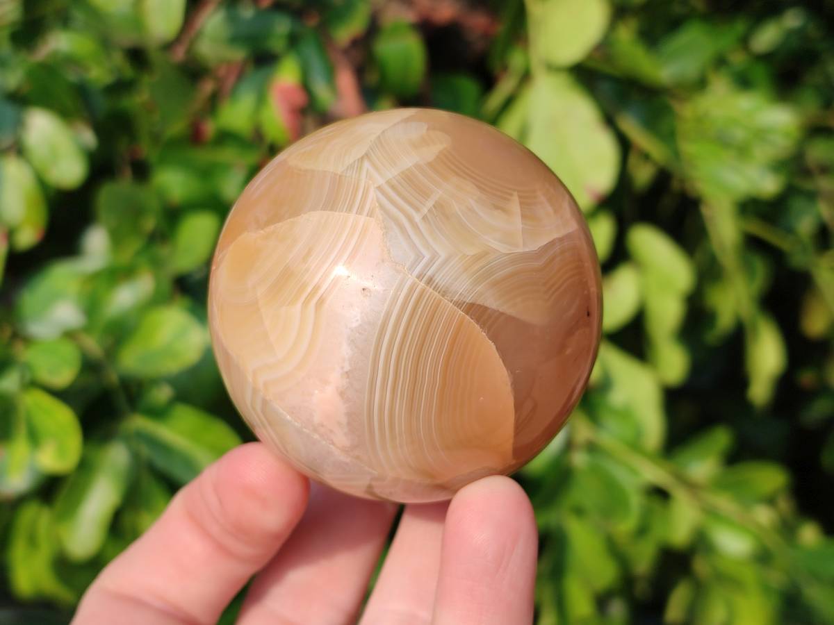 Polished Banded Agate Spheres x 6 From Madagascar - Toprock Gemstones and Minerals 