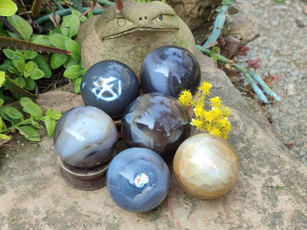 Polished Banded Agate Spheres x 6 From Madagascar - Toprock Gemstones and Minerals 