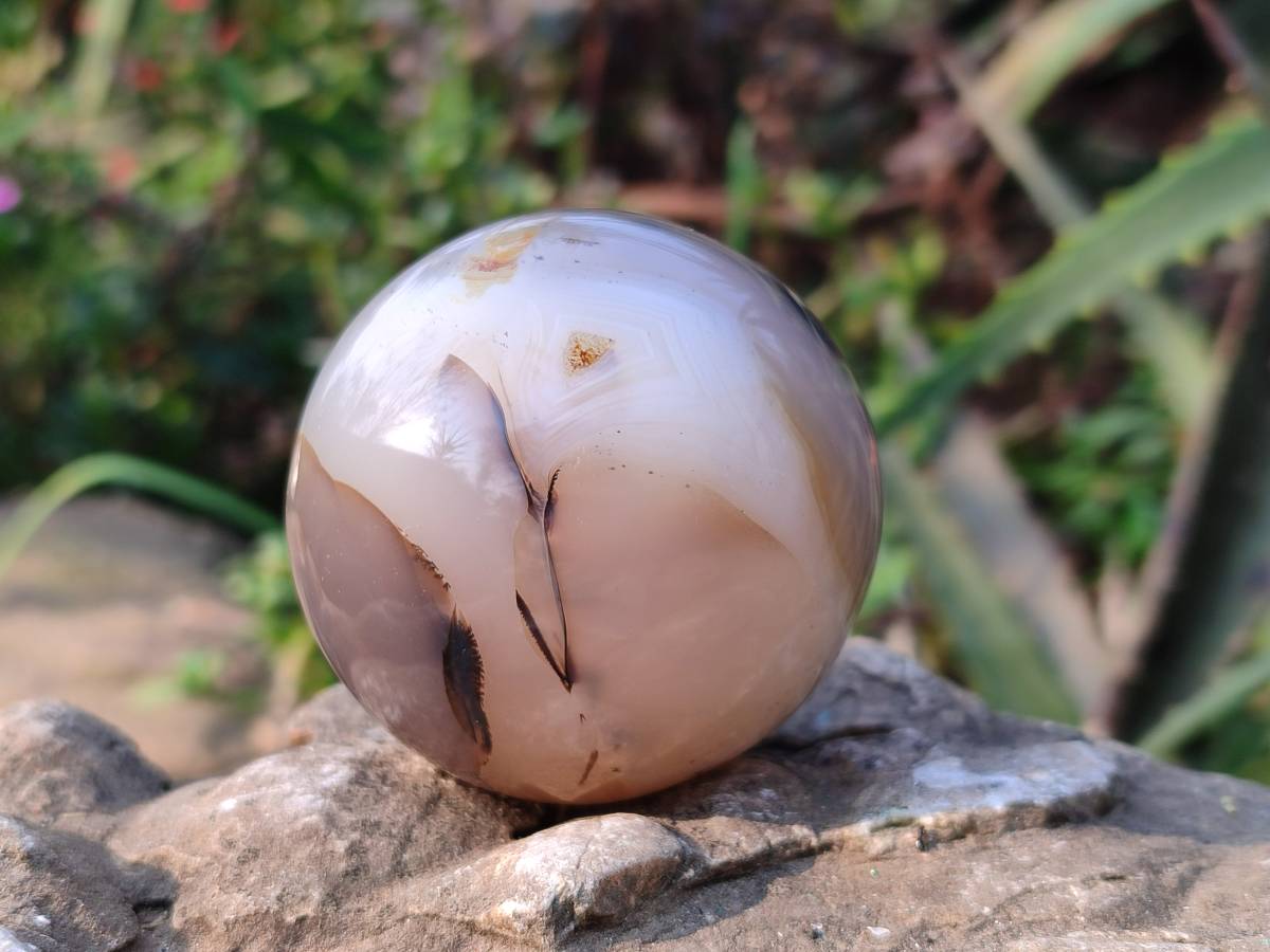 Polished Banded Agate Spheres x 6 From Madagascar - Toprock Gemstones and Minerals 