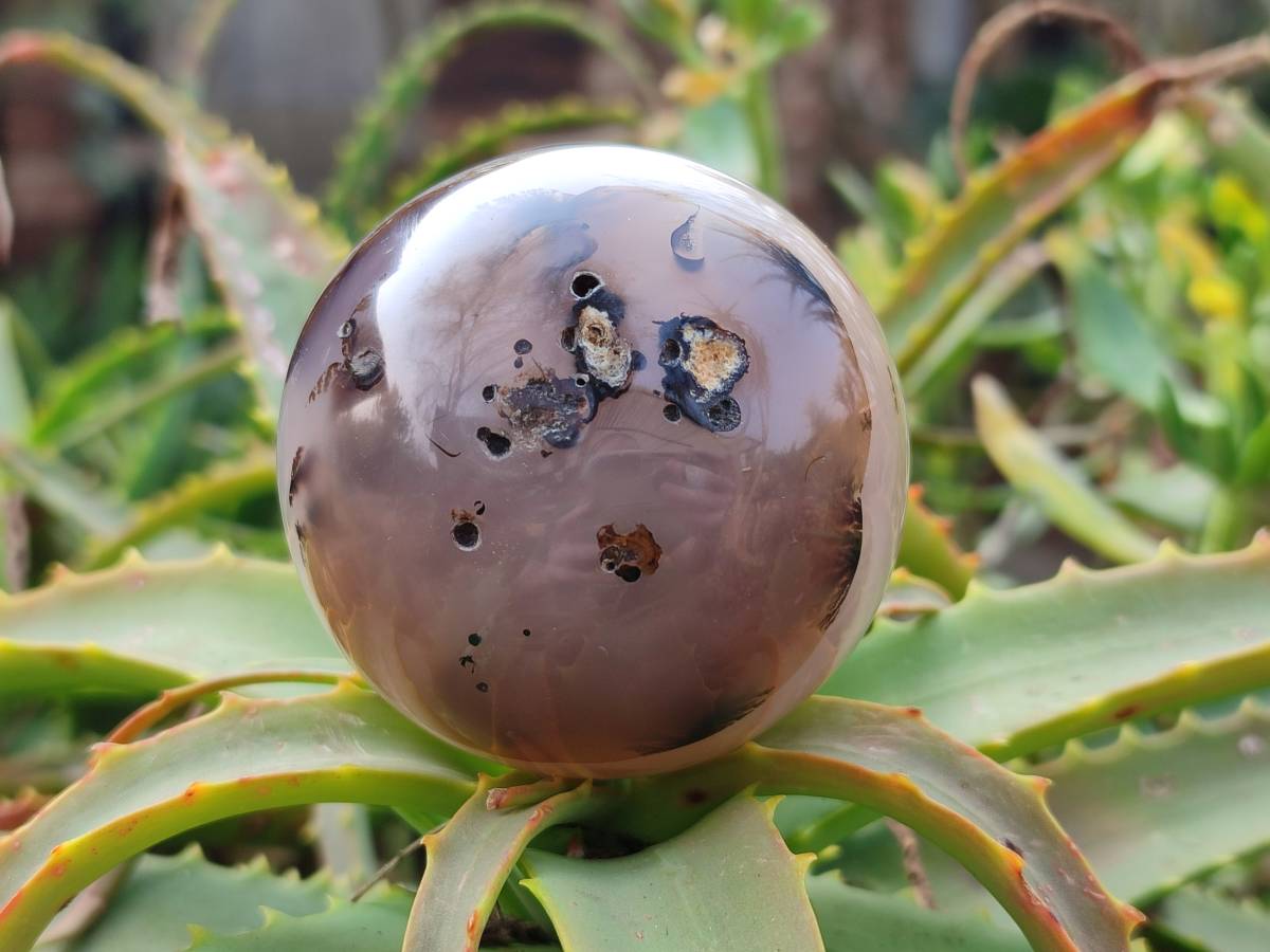 Polished Banded Agate Spheres x 6 From Madagascar - Toprock Gemstones and Minerals 