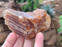 Natural Honey Aragonite Specimens x 6 From Namibia