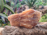 Natural Honey Aragonite Specimens x 6 From Namibia