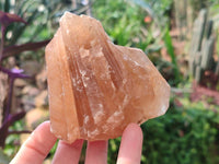 Natural Honey Aragonite Specimens x 6 From Namibia