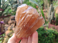 Natural Honey Aragonite Specimens x 6 From Namibia