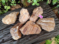Natural Honey Aragonite Specimens x 6 From Namibia