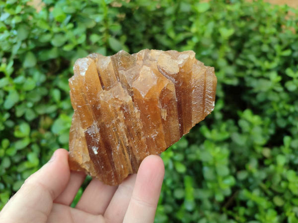 Natural Honey Aragonite Specimens x 6 From Namibia