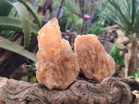 Natural Honey Aragonite Specimens x 6 From Namibia