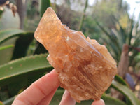 Natural Honey Aragonite Specimens x 6 From Namibia