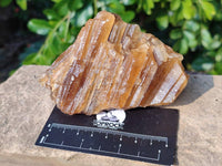 Natural Honey Aragonite Specimens x 6 From Namibia