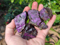 Natural Metallic Purpurite Specimens x 24 From Erongo, Namibia
