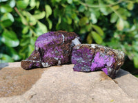 Natural Metallic Purpurite Specimens x 24 From Erongo, Namibia