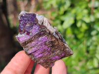 Natural Metallic Purpurite Specimens x 24 From Erongo, Namibia